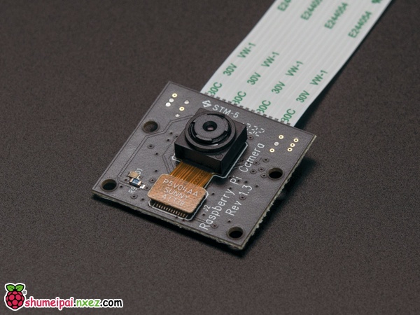 raspberry-pi-camera-adafruit_pinew-0